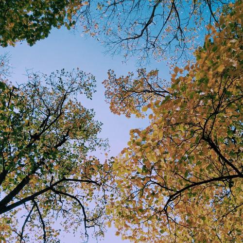 Photo #5161683