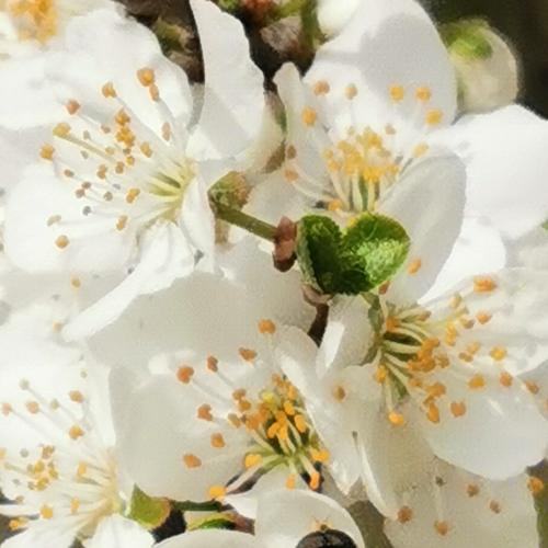 Photo #5162220