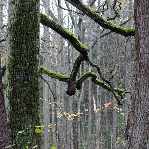 Photo #5162616