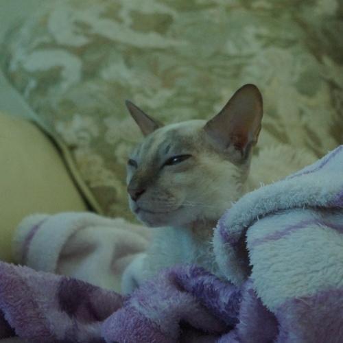Photo #5162851