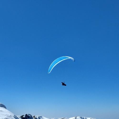 Photo #5163077
