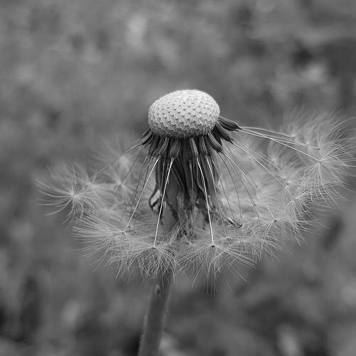Photo #5163443