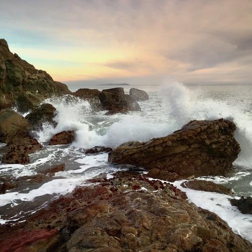 Photo #5163529