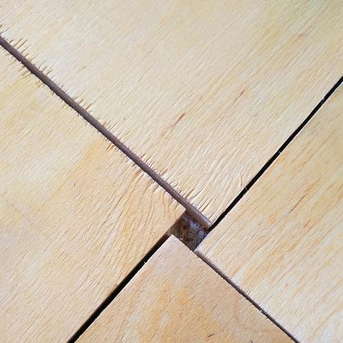 Photo #5163722