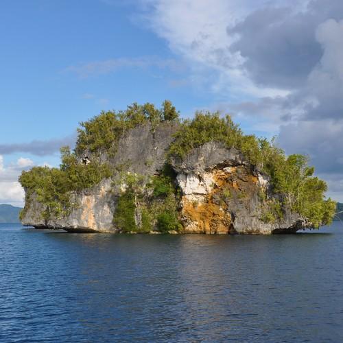 Coral Island