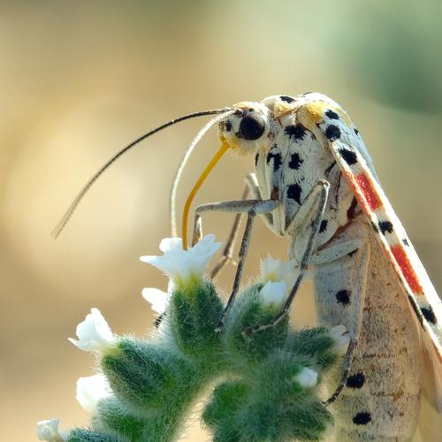 Photo #5164040