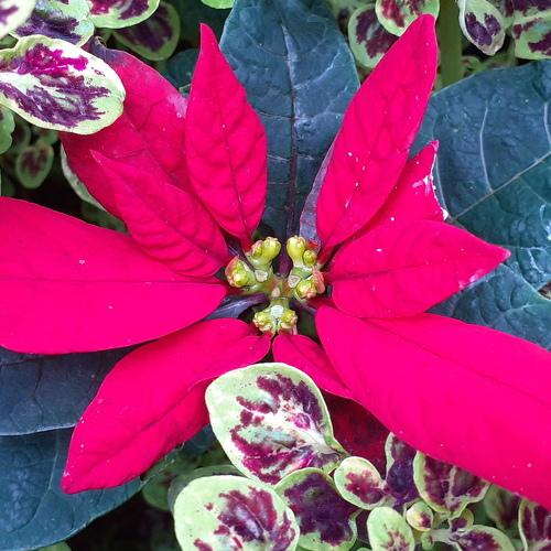 Photo #5164071