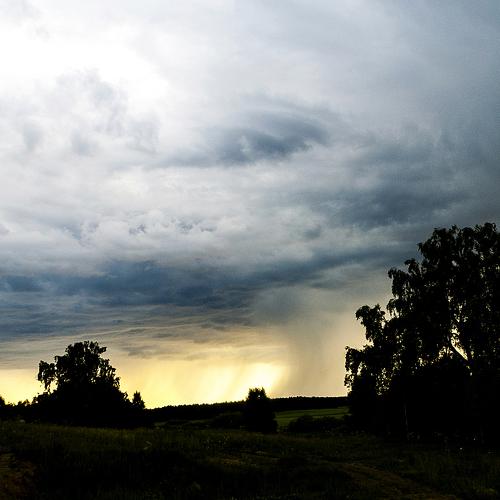 Photo #5164259