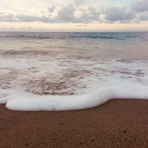 Photo #5164295