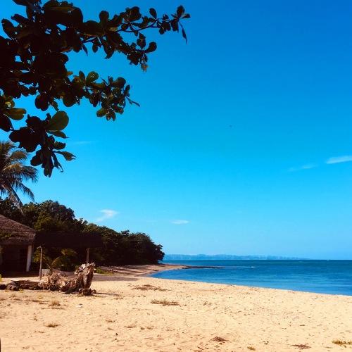 Photo #5164296
