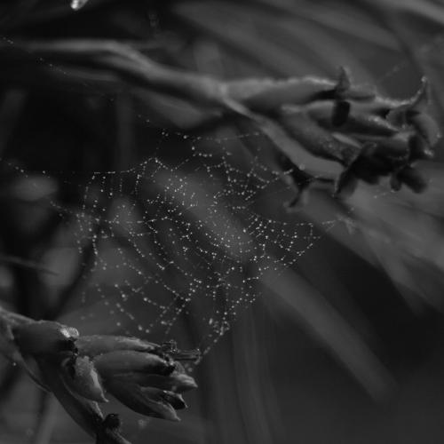 Photo #5164306