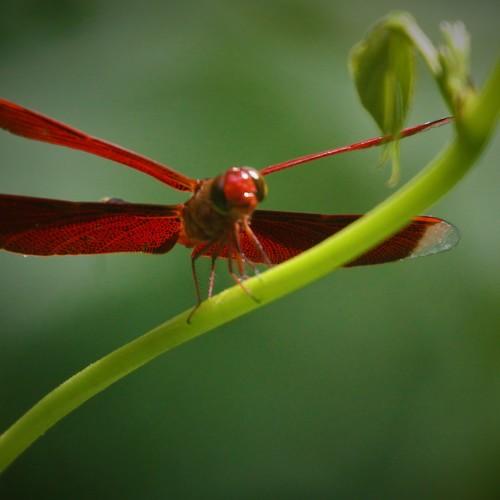Photo #5164323