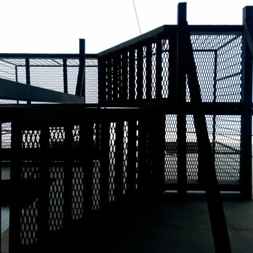 Photo #5164473