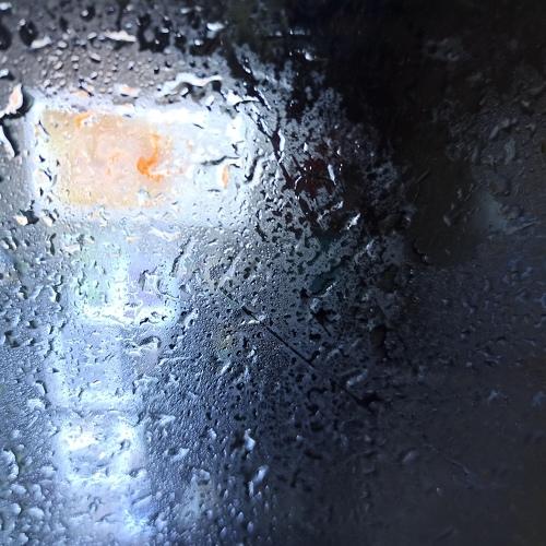 Photo #5164679