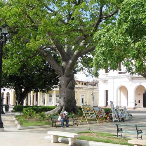 Photo #5164984