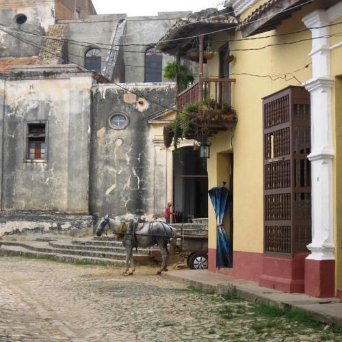 Photo #5164985