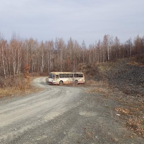 Photo #5165050