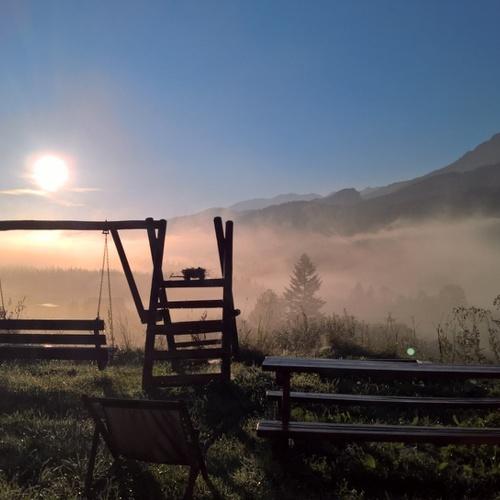 Photo #5165450