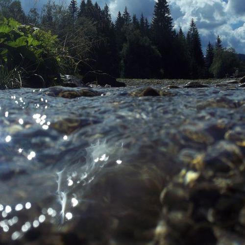 Photo #5165452