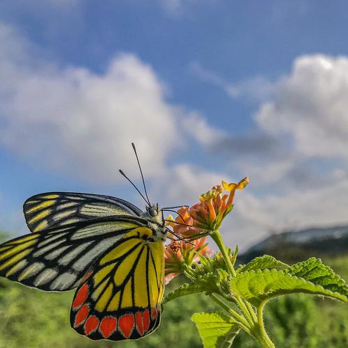 Photo #5165500