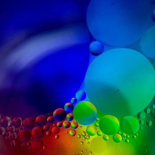 Photo #5165545