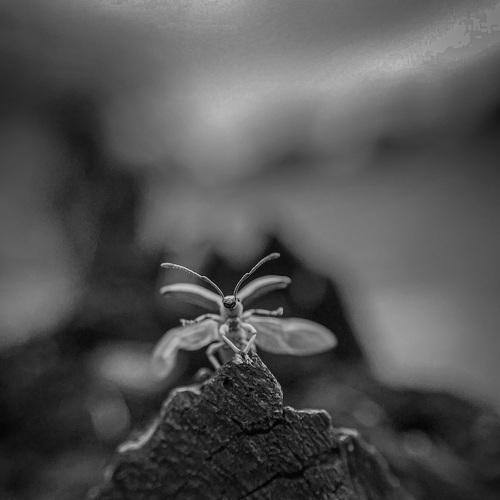 Photo #5165556