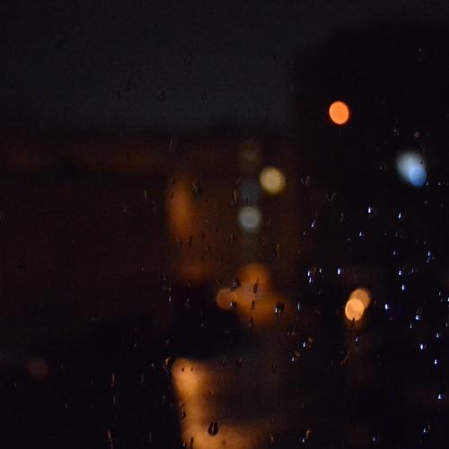 Photo #5165558