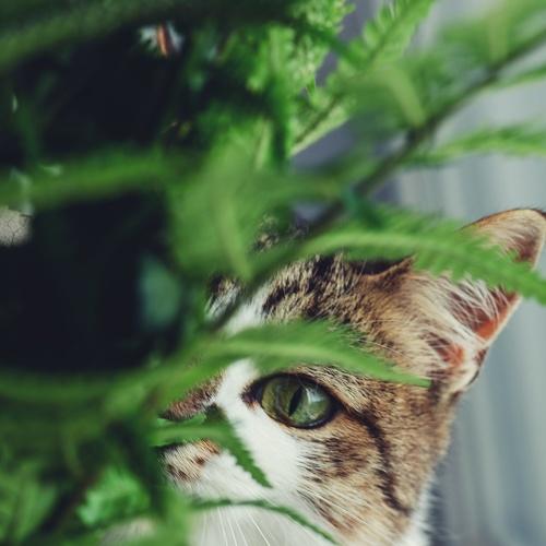 Photo #5165737