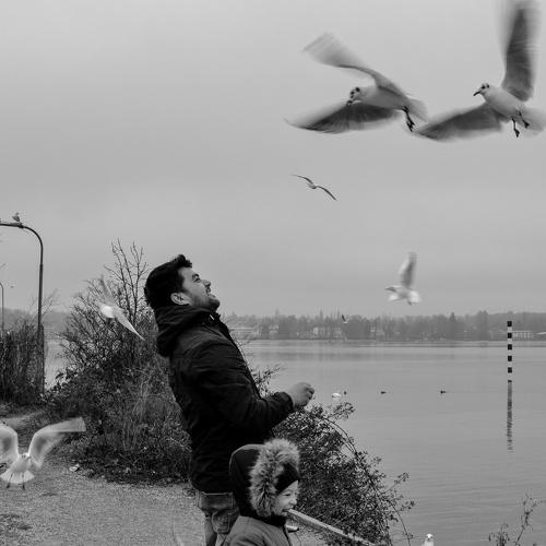 Photo #5165821