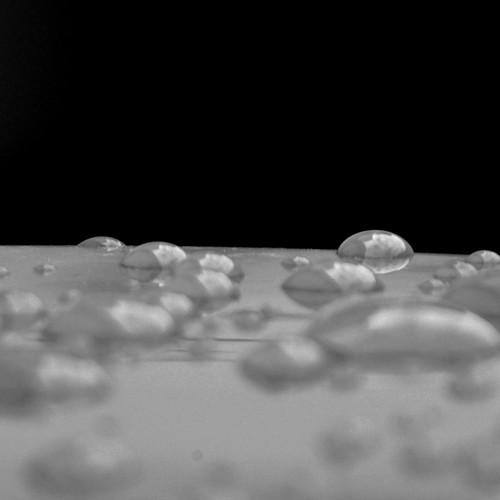 Photo #5166927