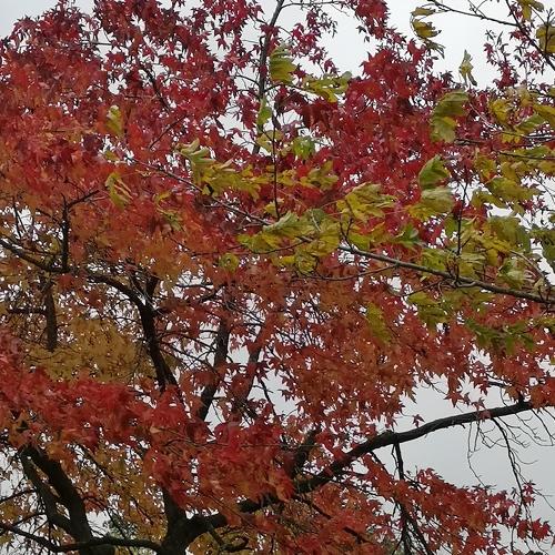 Photo #5166973
