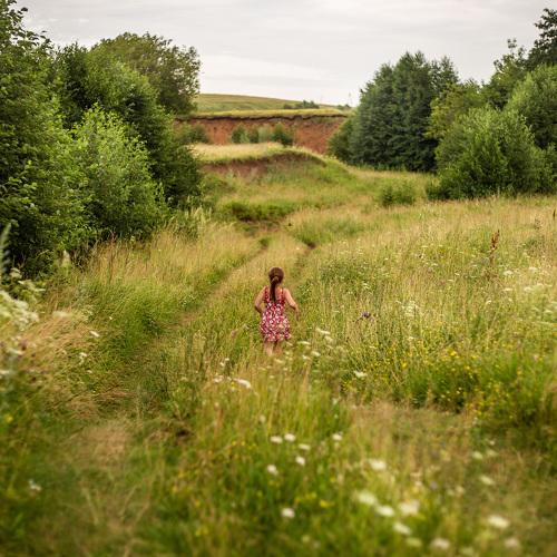Photo #5167015