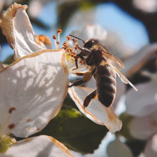 Photo #5167082