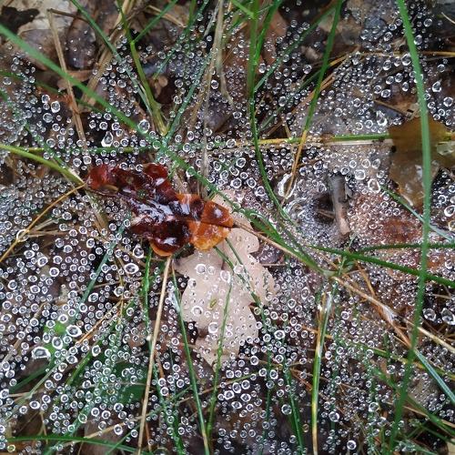 Photo #5167220