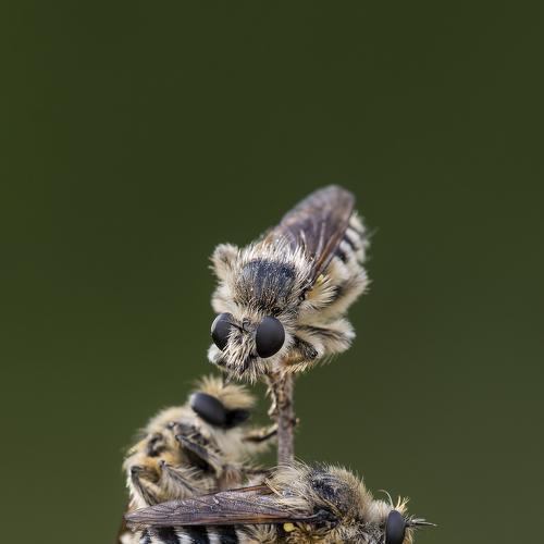 Фотография #5167231