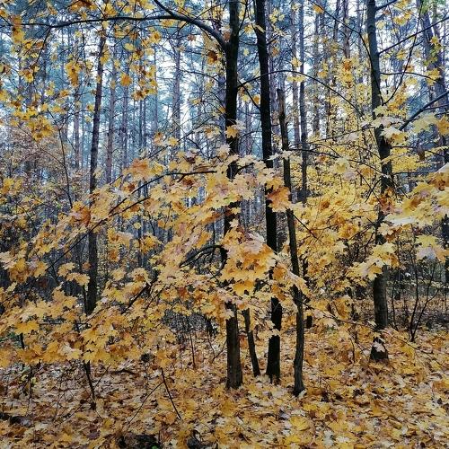 Photo #5167879