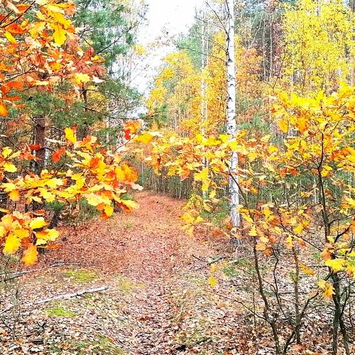 Photo #5167957