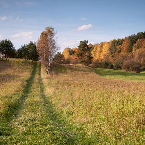 Photo #5168031