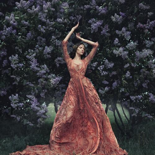 Photo #5168049