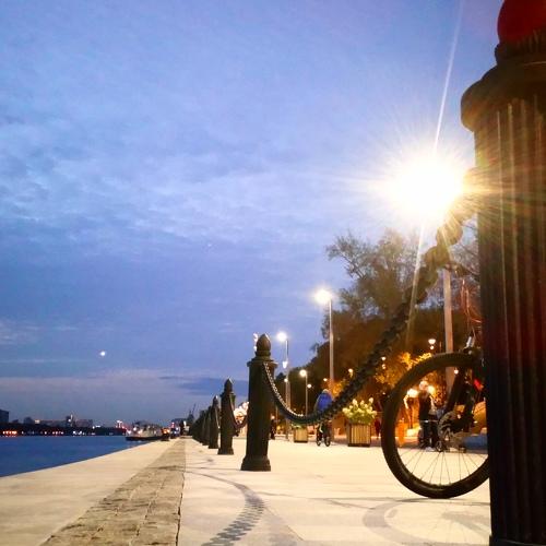 Photo #5168212