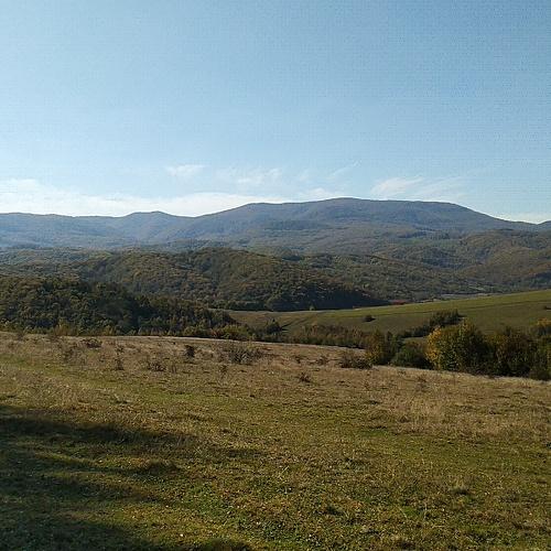 Photo #5168567