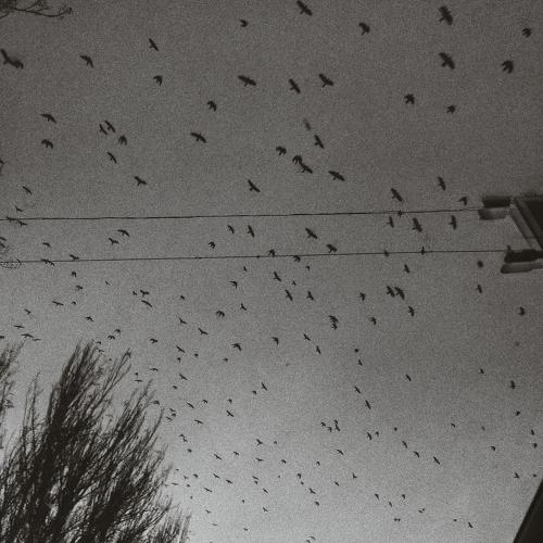 Photo #5168669