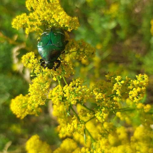 Photo #5169073