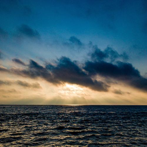 Photo #5169157