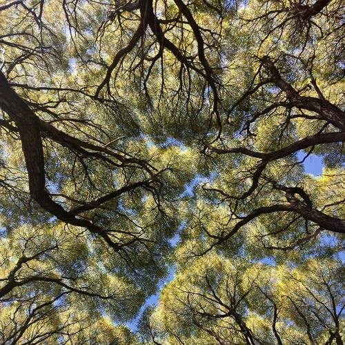 Photo #5169240