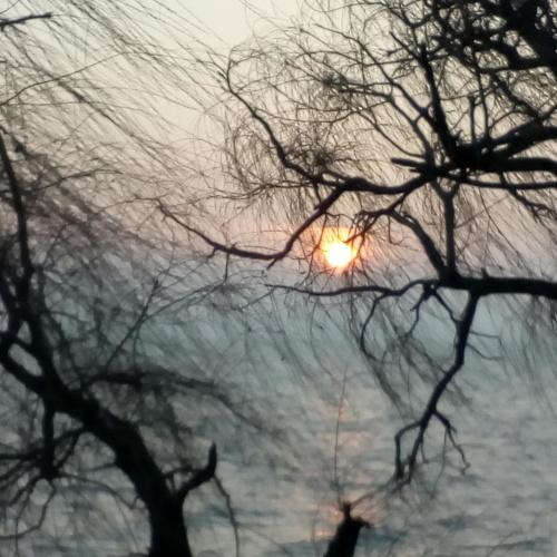 Photo #5169598