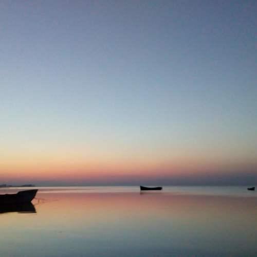 Photo #5169619