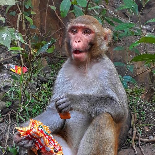 Photo #5169768