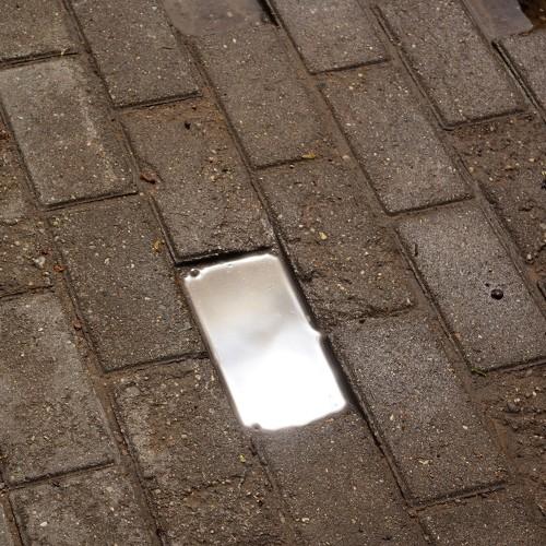 Photo #5169884