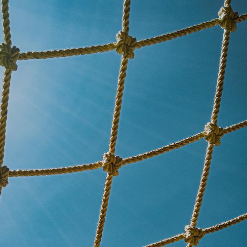 Photo #5169908